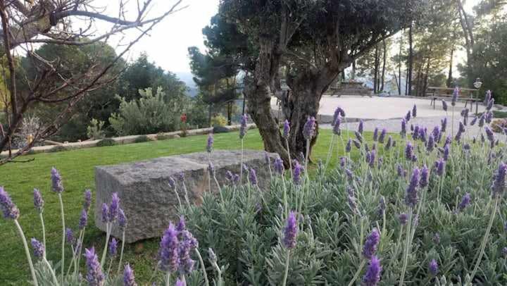 Quinta Da Idalina Monchique Exterior foto