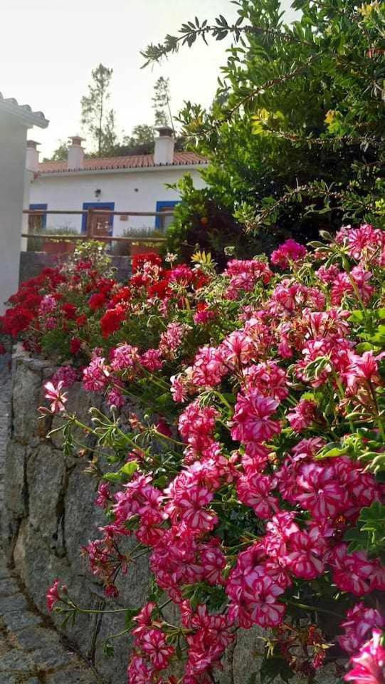 Quinta Da Idalina Monchique Quarto foto